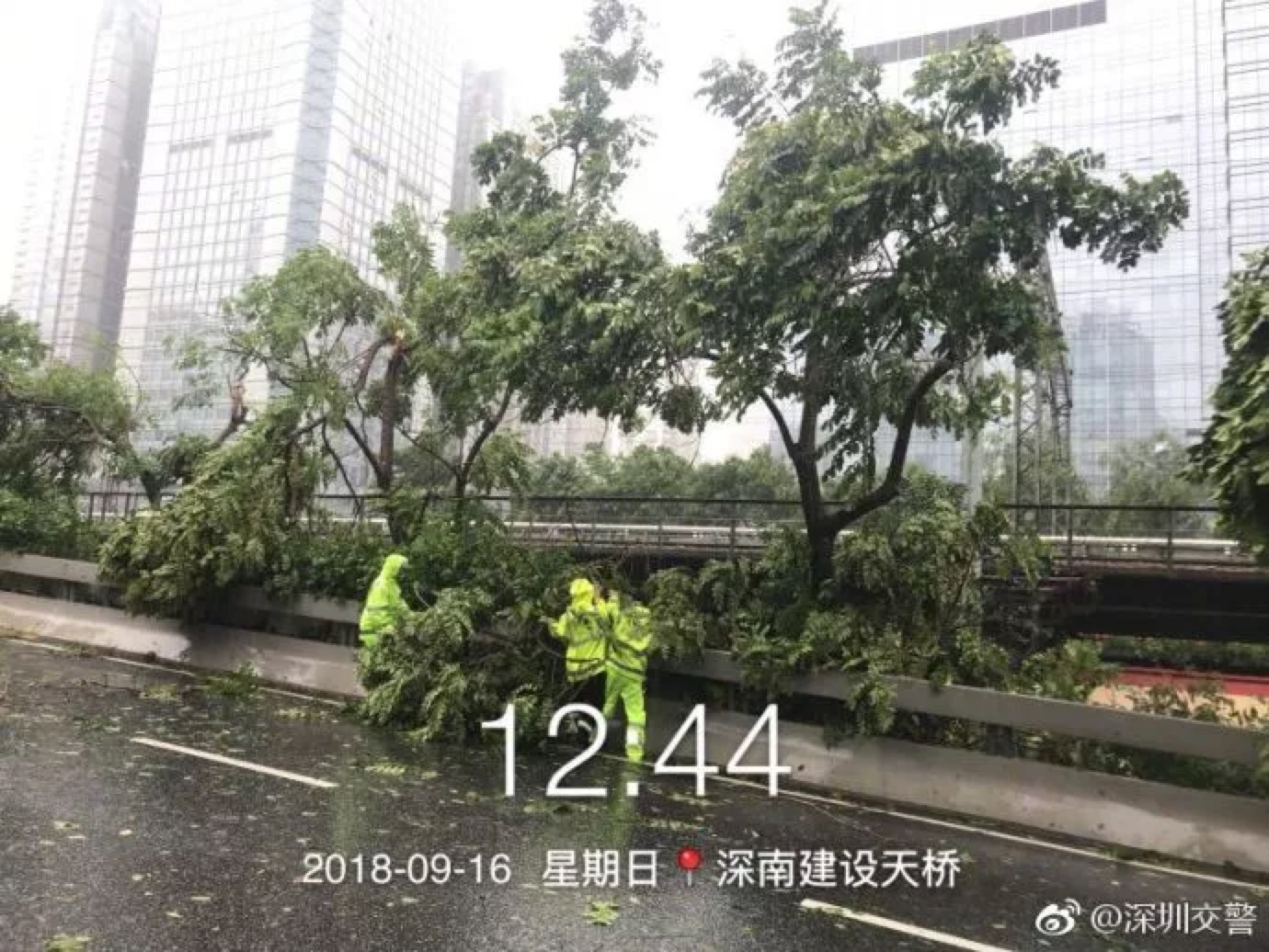 台风肆虐下的深圳人